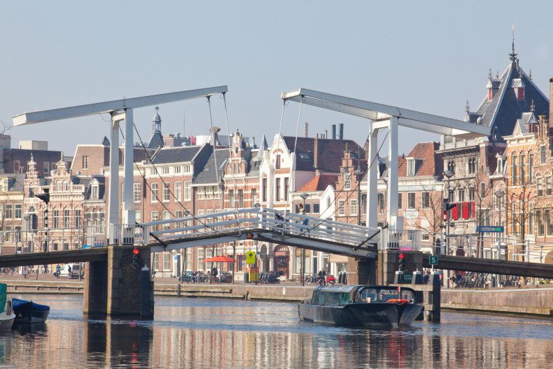 Haarlem Holland Tulpentour