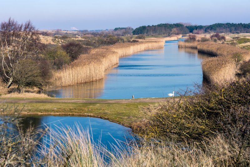 Amsterdamer Wasserleitungsdünen