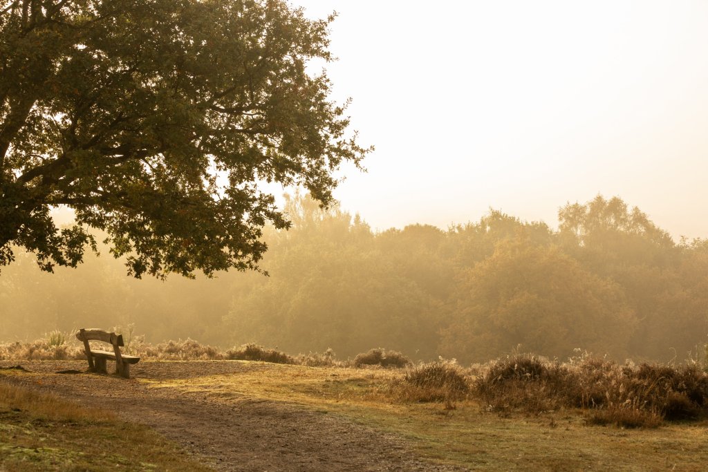 Nationalpark De Maasduinen