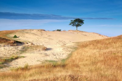 Drents-Friese Wold - Radfahren