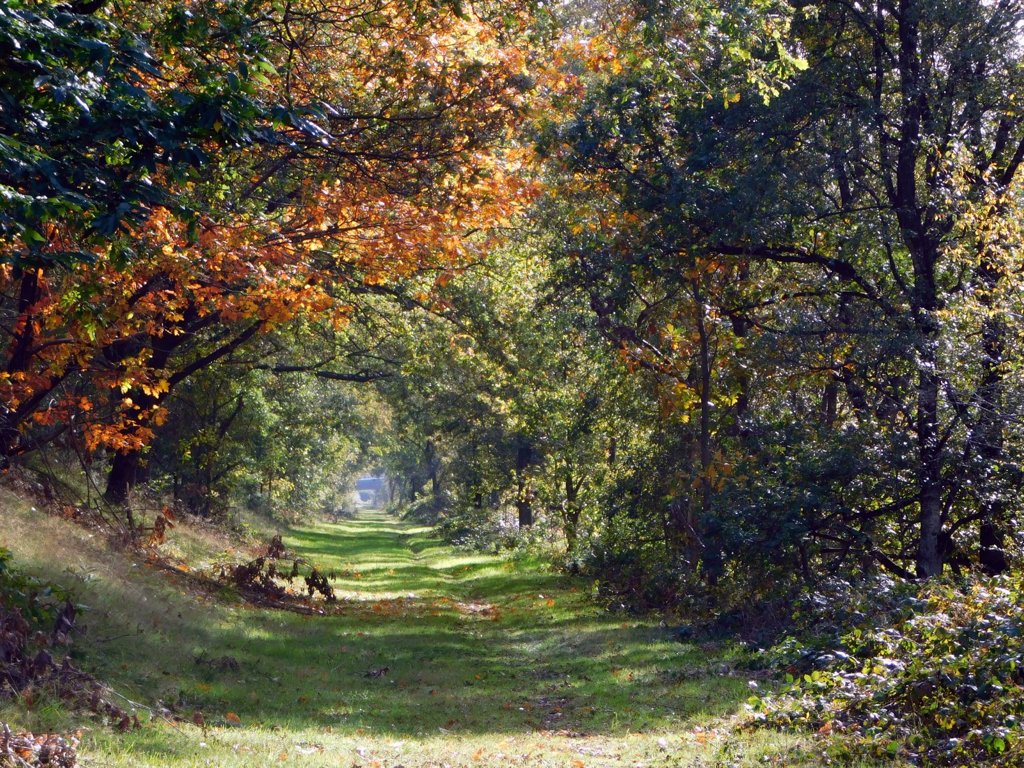 Die Kempen