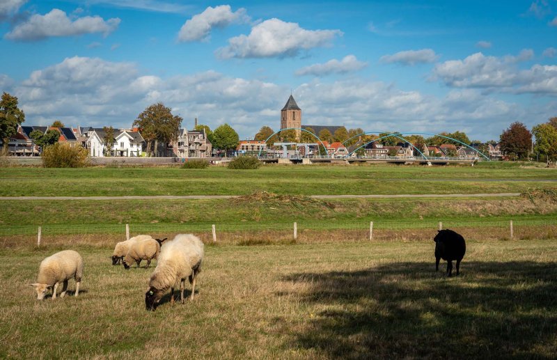 Radurlaub Dalfsen
