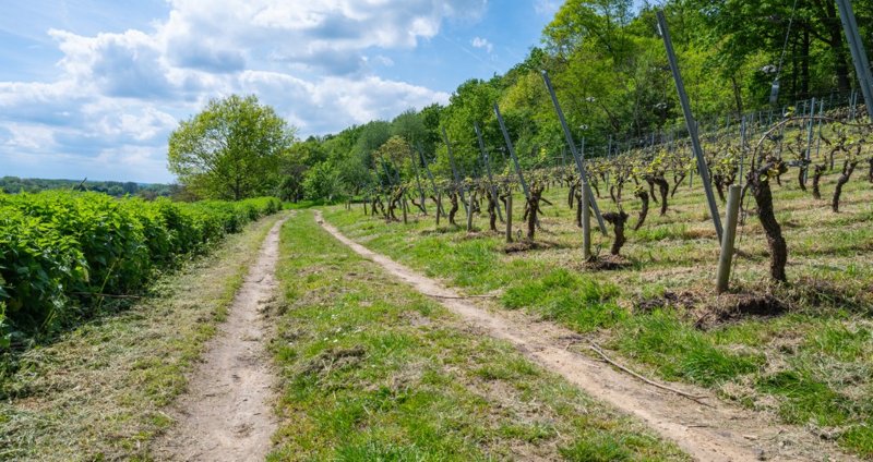 Das Hageland