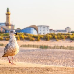 Ostsee-Ausblick Radreise