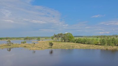 Turnhoutse Heide Bladel radurlaub