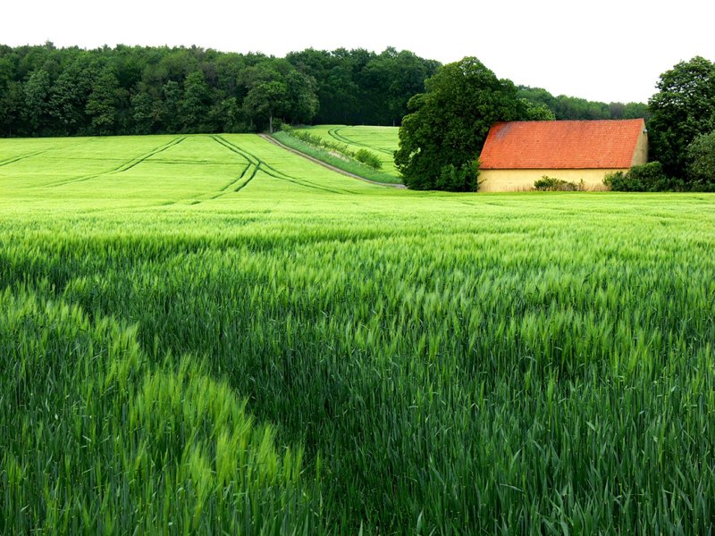 Bei Osnabruck