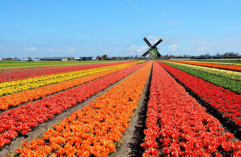 Tulpen-Radtour