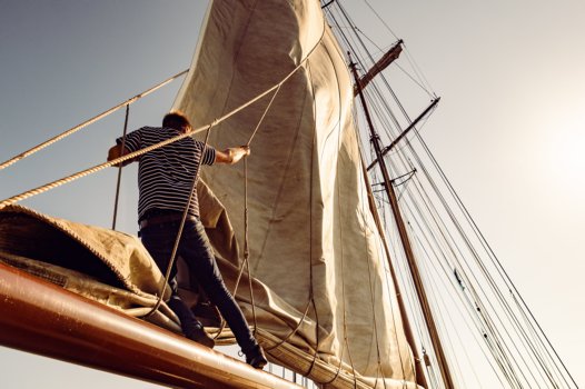 Rad- und Schiffsreisen Wattenmeer