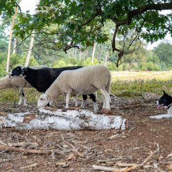 radfahren lemelerberg