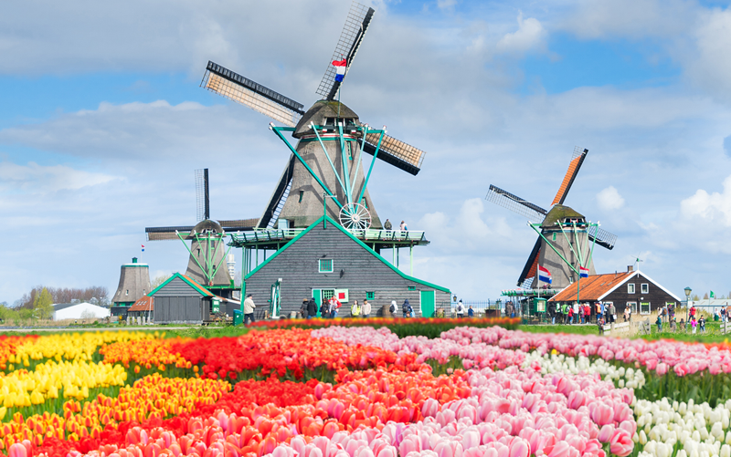 Holland Tulpentour