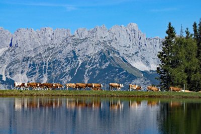 Walchsee radreis