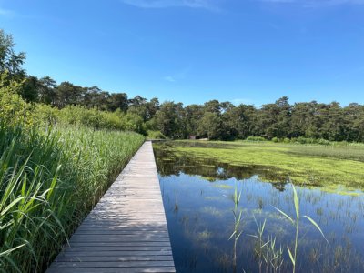 fahrradroute Beetsterzwaag