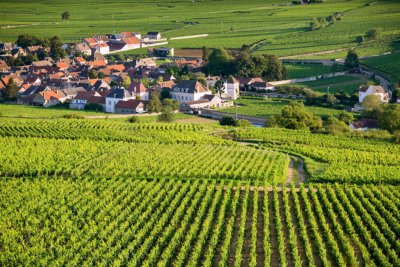 Beaune fahrrad urlaub