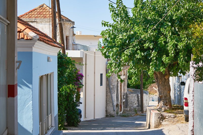 Rhodos elafos