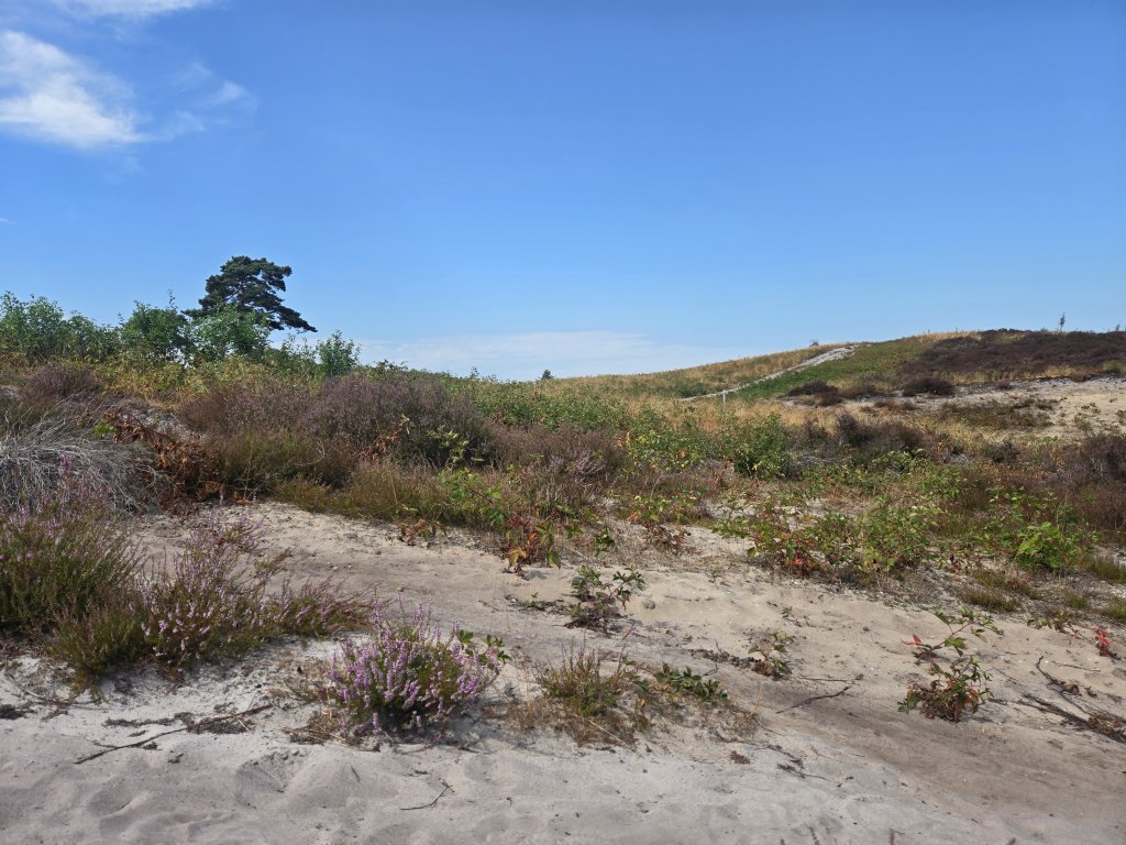 Nationalpark De Maasduinen