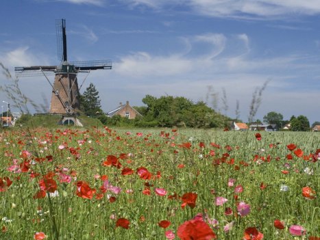 Aardenburg Radreise Belgien