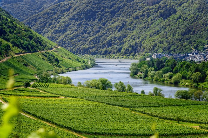 Mosel