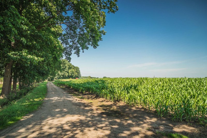 Twente