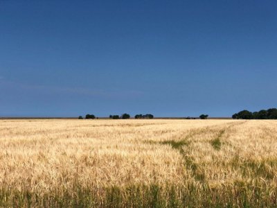 Ameland Radreise die Watteninseln