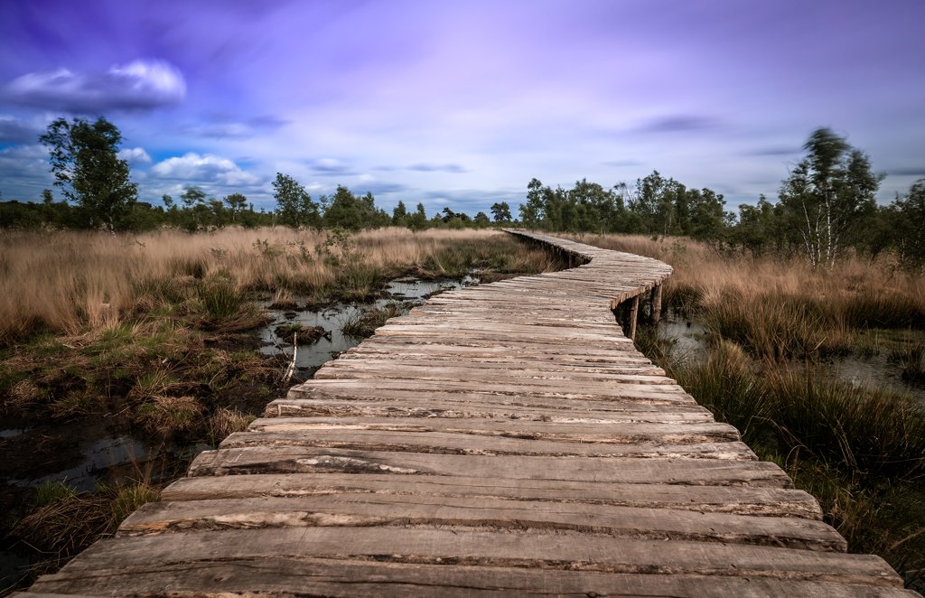 Nationalpark de Groote Peel