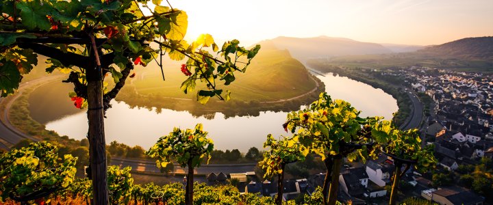 Radreisen Mosel