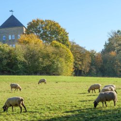 Gerleve radeln