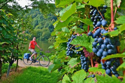 Mosel-und-saar radreise
