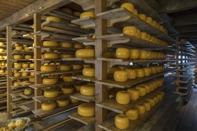 Radreise Gouda