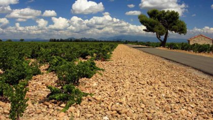 Inspiratie over fietsvakanties