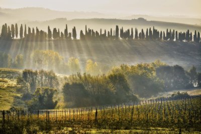 Chianti