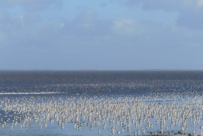 Radreise Harlingen Wattenmeer Franeker