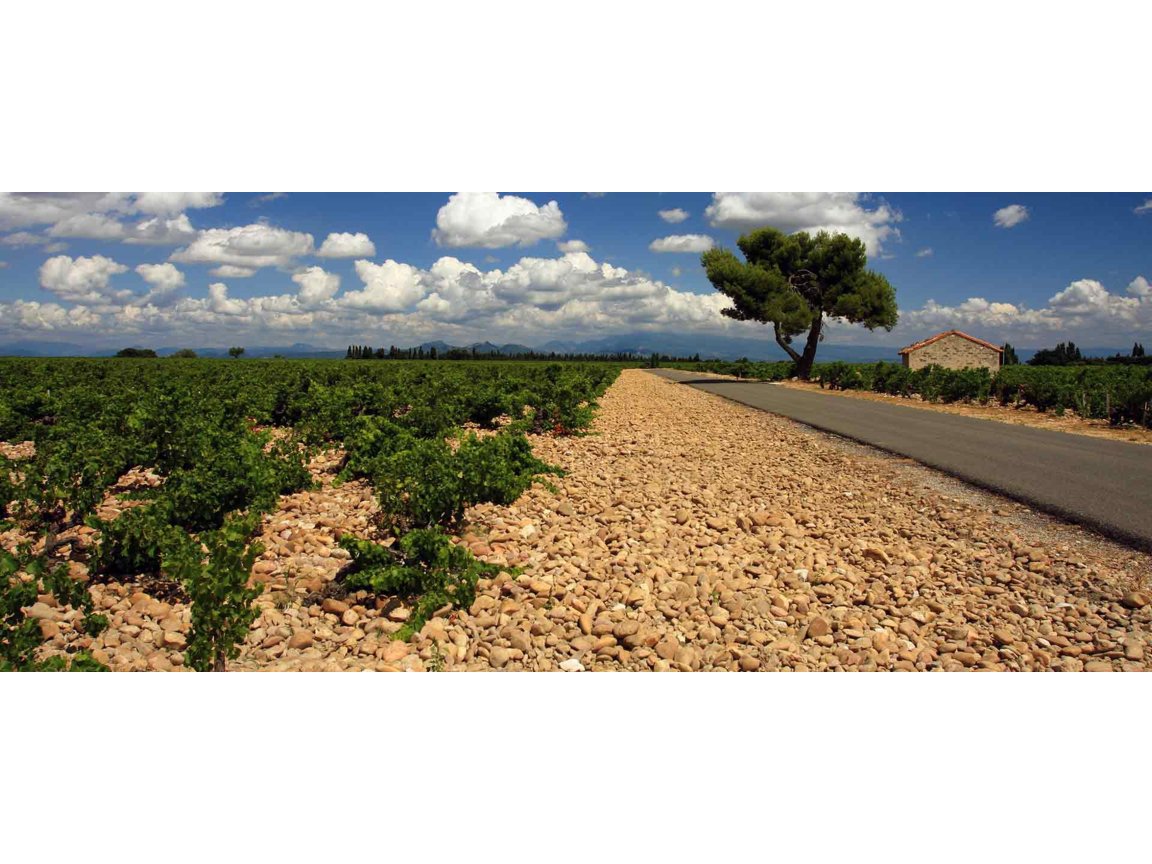 Inspiratie over fietsvakanties