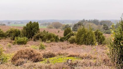 Pieterpad met de fiets