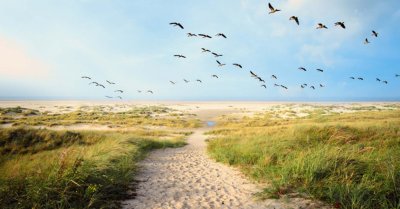 Langeoog fRadreise Deutschland