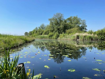 Nationalpark De Alde Feanen