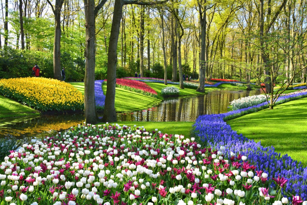 Die Keukenhof