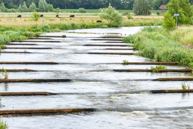 Vecht Beerze radurlaub