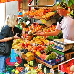 Radurlaub Frankreich Provence