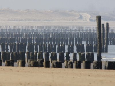 Radreise Zeeland Groede