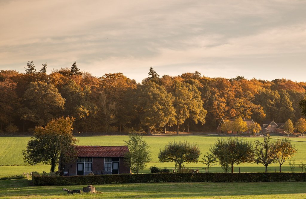 Paasberg - die Lutte