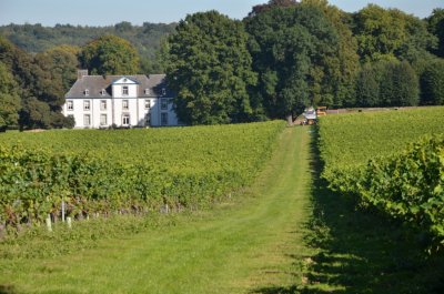 Wein Schloss Genoels-Elderen