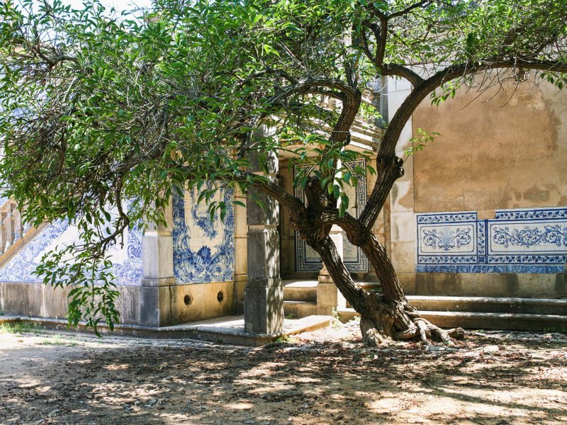 Algarve Radurlaub