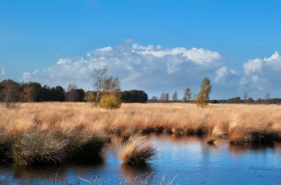 Dwingelderveld Drenthe Radurlaub