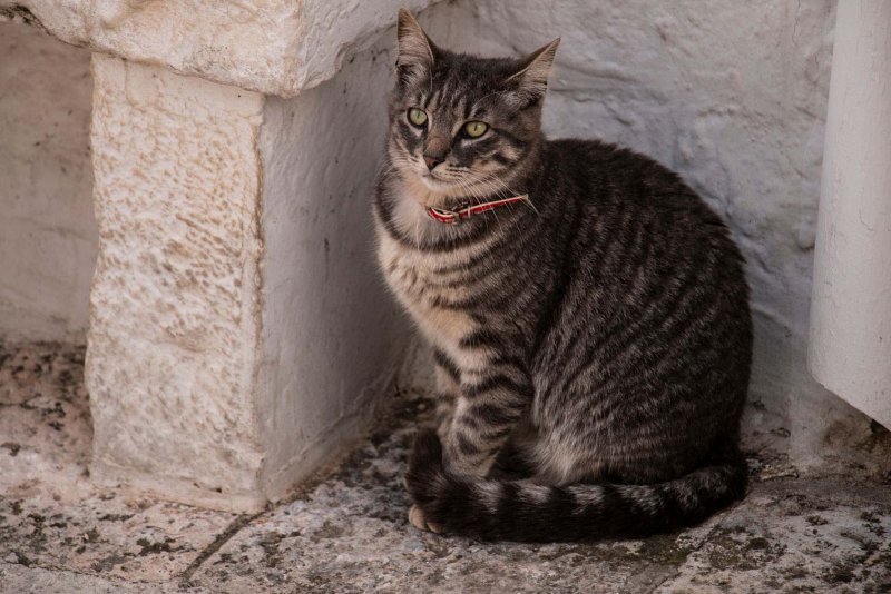 Alberobello