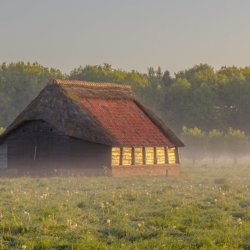 Scherpenzeel