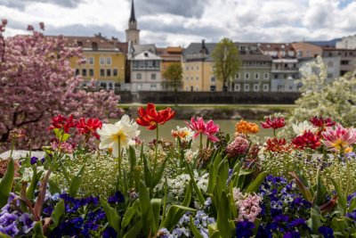 Sillian oder Villach
