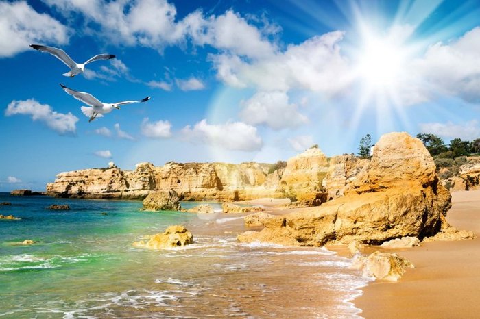 Vakantie tip