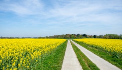 Radfahren Urlaub Flämisch Brabant Belgien