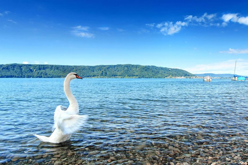 Konstanz