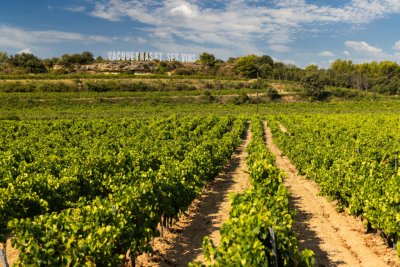 Provence Radurlaub Vacqueyras